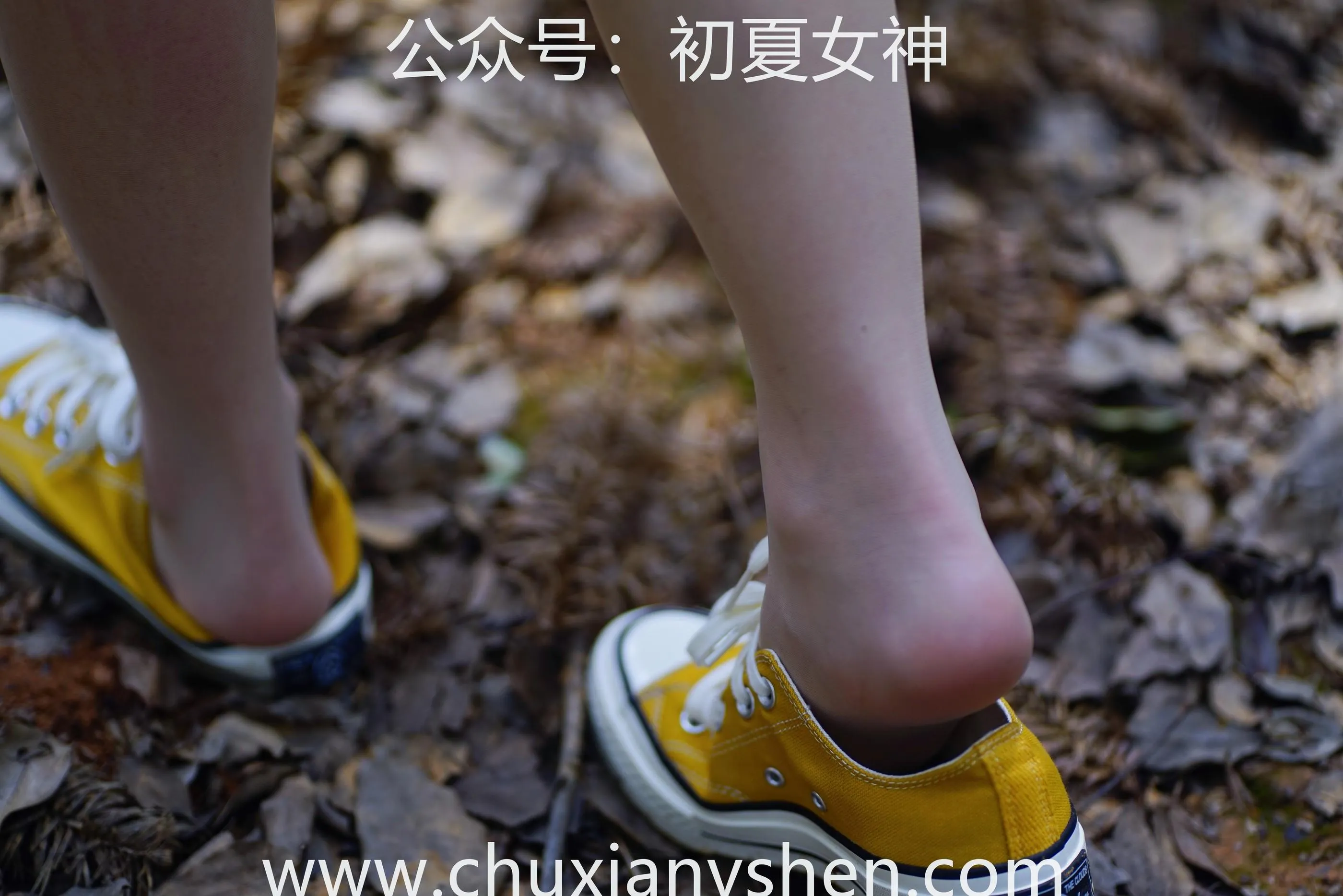 初夏女神 NO.052 大发 山野大发 [132P]插图5